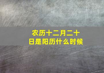 农历十二月二十日是阳历什么时候