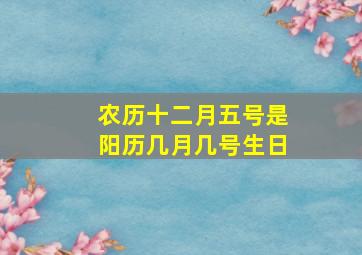 农历十二月五号是阳历几月几号生日