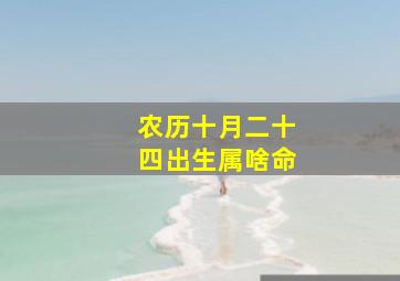 农历十月二十四出生属啥命