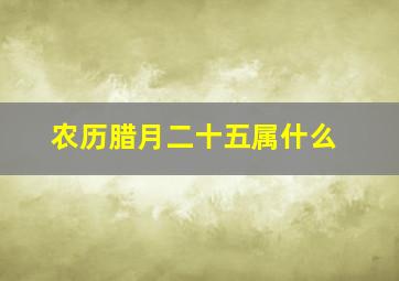 农历腊月二十五属什么