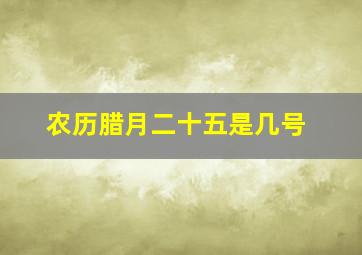 农历腊月二十五是几号