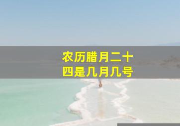 农历腊月二十四是几月几号