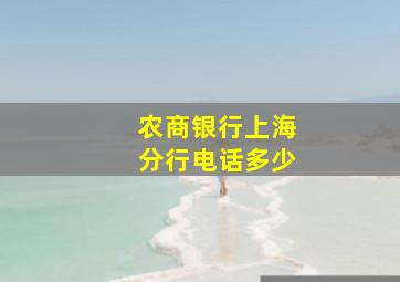 农商银行上海分行电话多少