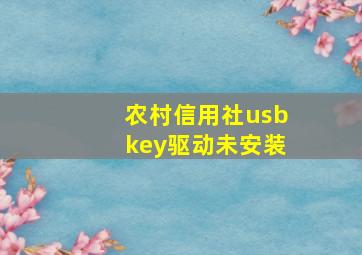 农村信用社usbkey驱动未安装