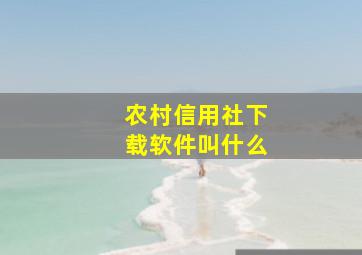 农村信用社下载软件叫什么