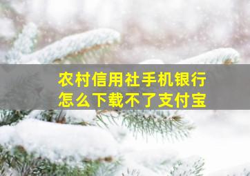 农村信用社手机银行怎么下载不了支付宝