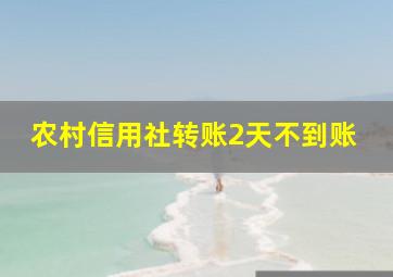 农村信用社转账2天不到账