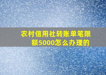 农村信用社转账单笔限额5000怎么办理的