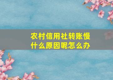 农村信用社转账慢什么原因呢怎么办