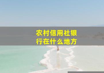 农村信用社银行在什么地方