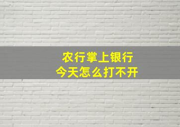 农行掌上银行今天怎么打不开