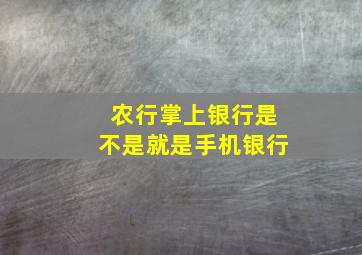 农行掌上银行是不是就是手机银行