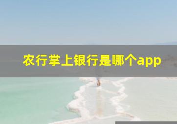 农行掌上银行是哪个app