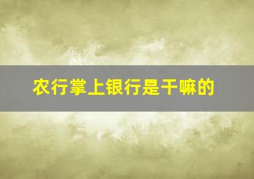 农行掌上银行是干嘛的