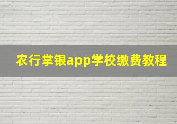 农行掌银app学校缴费教程