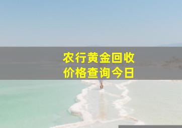 农行黄金回收价格查询今日