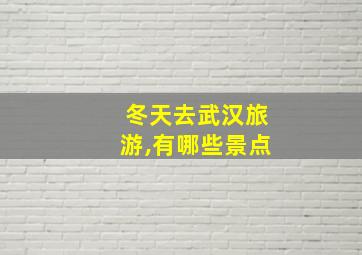 冬天去武汉旅游,有哪些景点