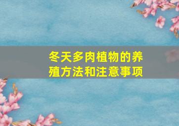 冬天多肉植物的养殖方法和注意事项