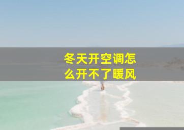 冬天开空调怎么开不了暖风