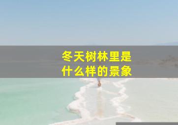 冬天树林里是什么样的景象