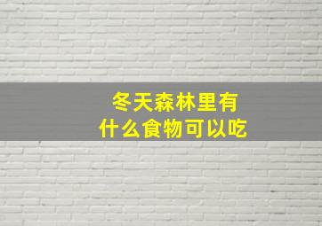 冬天森林里有什么食物可以吃