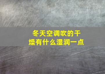 冬天空调吹的干燥有什么湿润一点