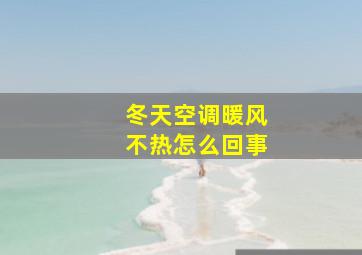 冬天空调暖风不热怎么回事