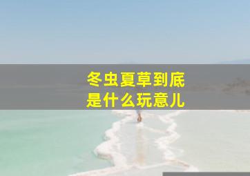 冬虫夏草到底是什么玩意儿