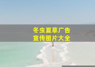 冬虫夏草广告宣传图片大全