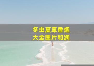 冬虫夏草香烟大全图片和润