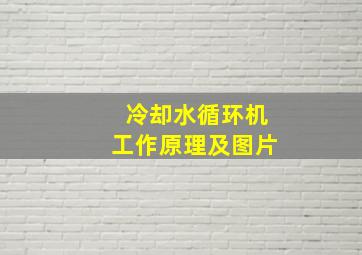 冷却水循环机工作原理及图片