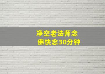 净空老法师念佛快念30分钟