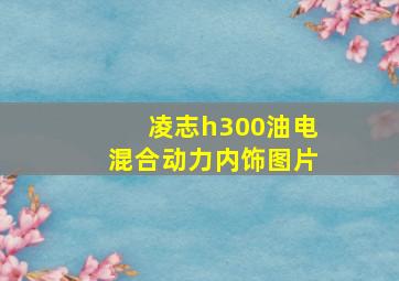 凌志h300油电混合动力内饰图片