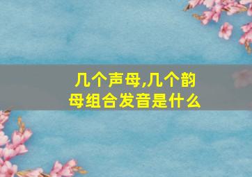 几个声母,几个韵母组合发音是什么