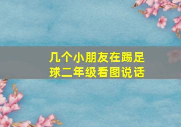 几个小朋友在踢足球二年级看图说话