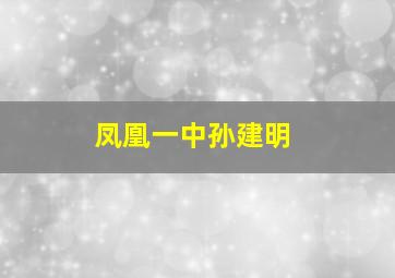 凤凰一中孙建明