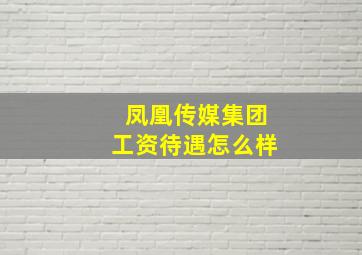 凤凰传媒集团工资待遇怎么样