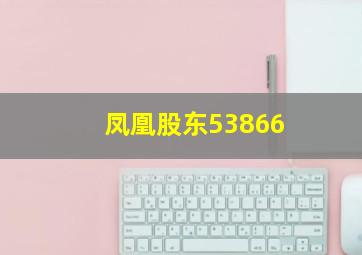 凤凰股东53866