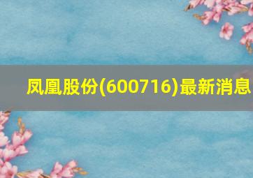 凤凰股份(600716)最新消息