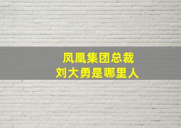 凤凰集团总裁刘大勇是哪里人