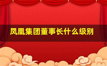 凤凰集团董事长什么级别