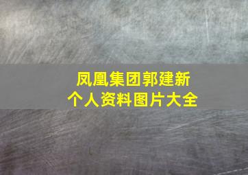 凤凰集团郭建新个人资料图片大全