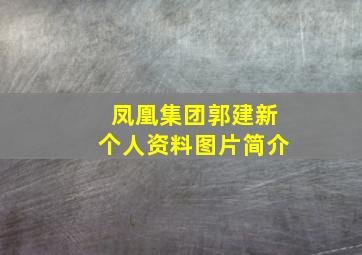 凤凰集团郭建新个人资料图片简介