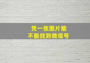 凭一张图片能不能找到微信号