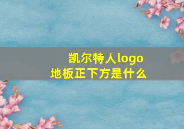 凯尔特人logo地板正下方是什么