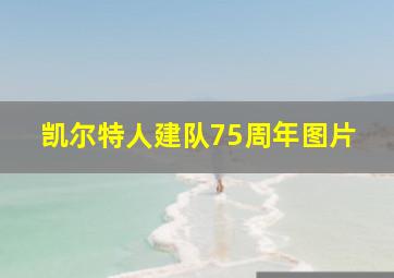 凯尔特人建队75周年图片