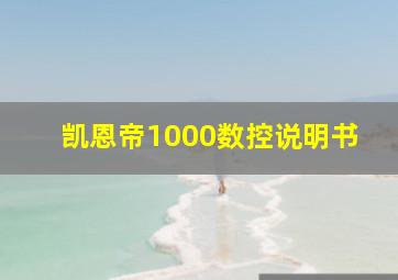 凯恩帝1000数控说明书