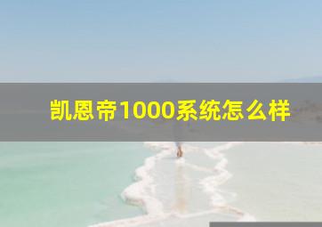 凯恩帝1000系统怎么样