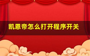 凯恩帝怎么打开程序开关