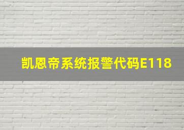 凯恩帝系统报警代码E118